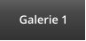 Galerie 1